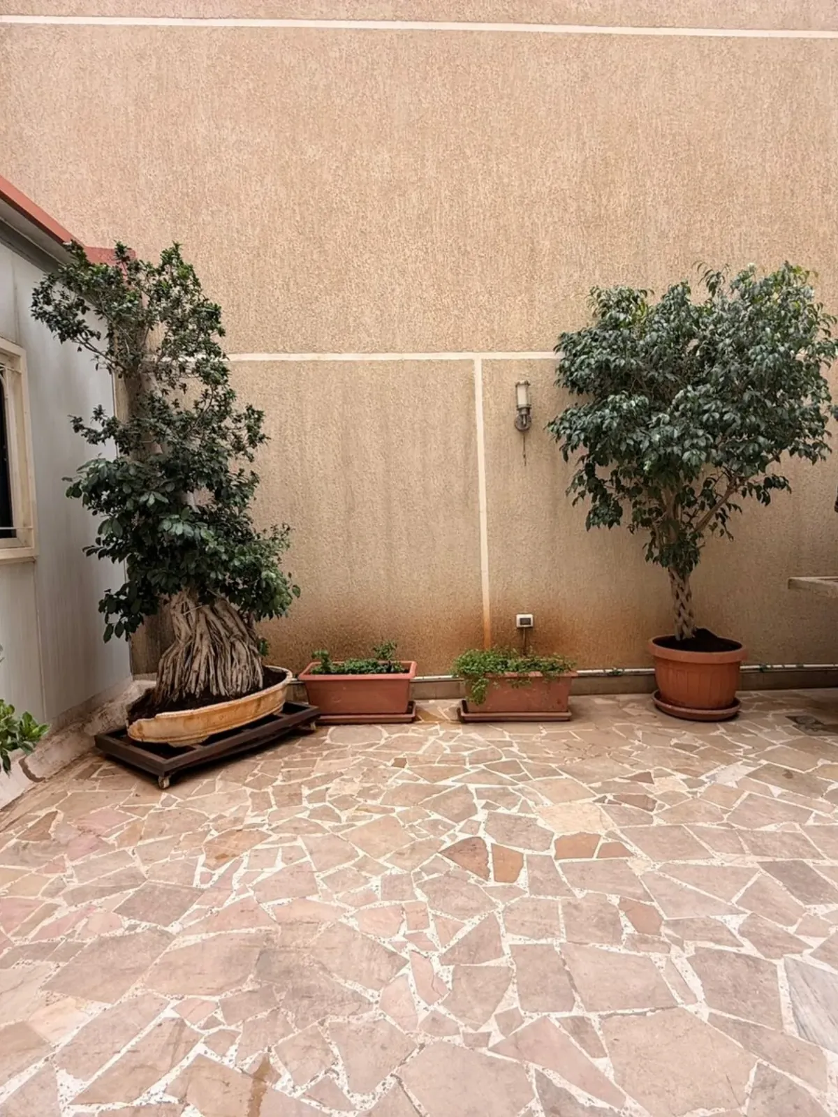 Duplex with Garden for Sale in Antelias — الصورة 5