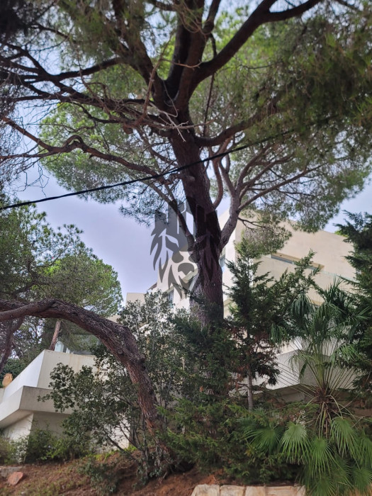 Villa For Sale In Beit Mery