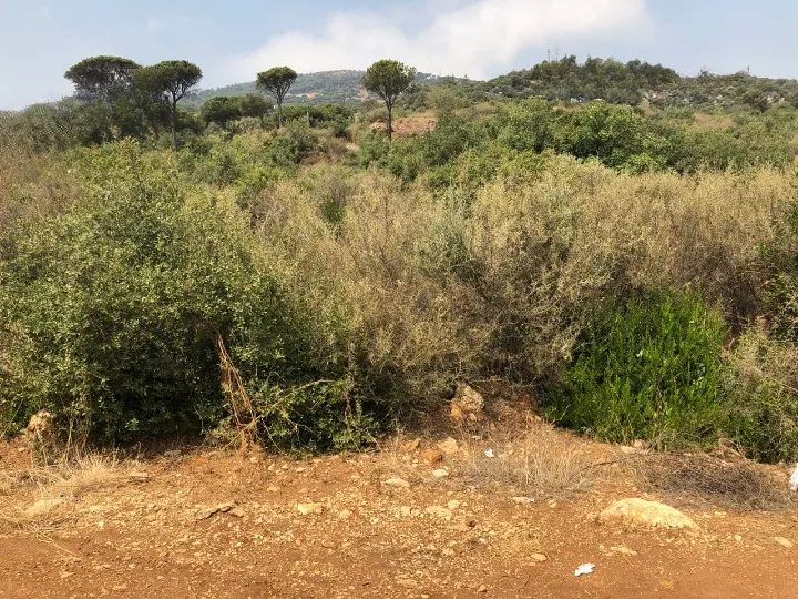 Land for Sale in Beit Mery