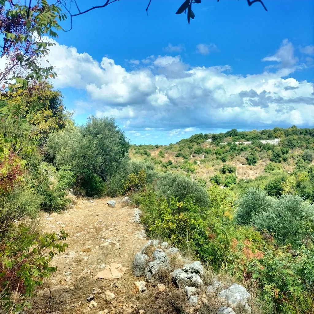 Land for Sale in Chikhan