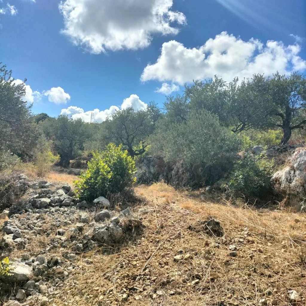 Land for Sale in Chikhan — الصورة 2