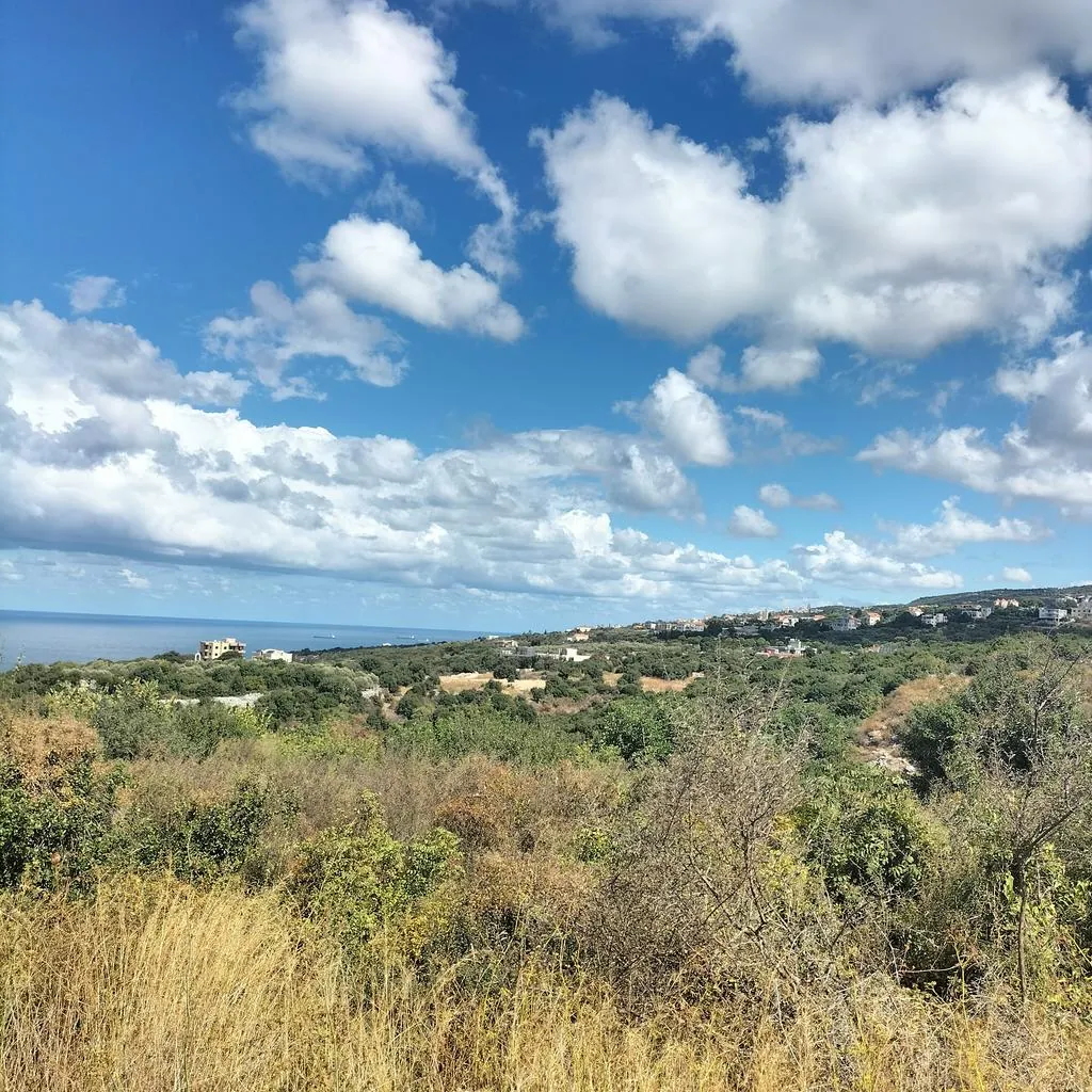 Land for Sale in Chikhan — الصورة 4