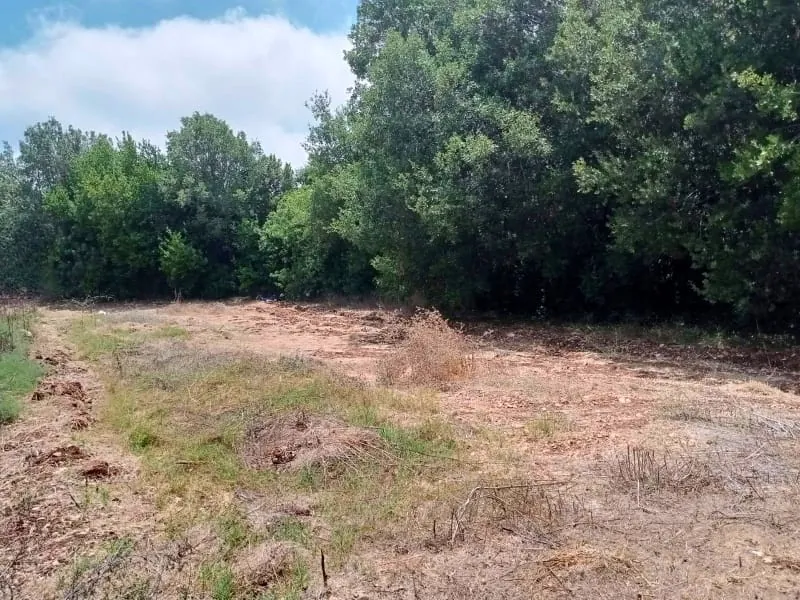 Land for Sale in Maad Jbeil