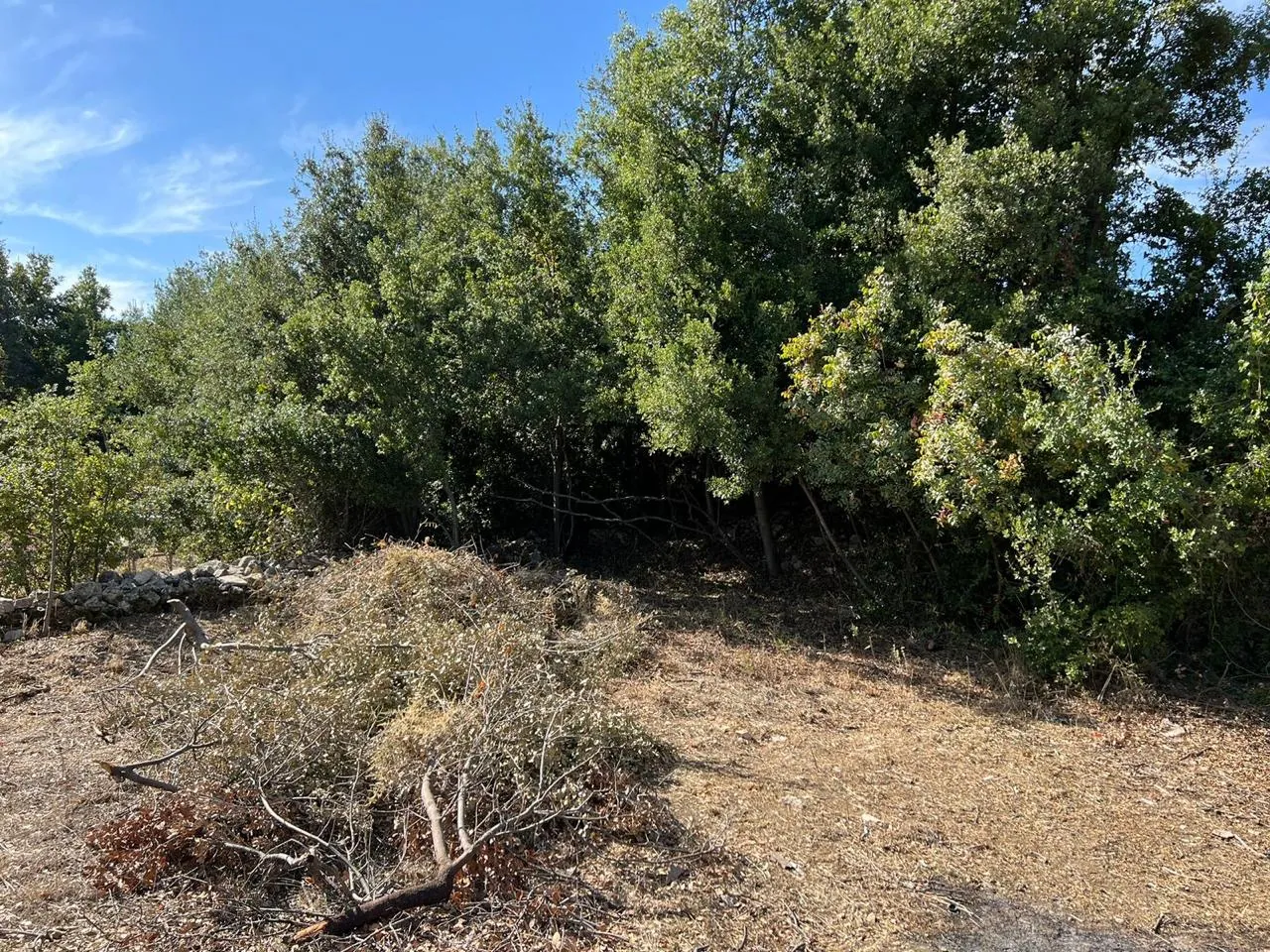 Land for Sale in Ain Zain Chouf — الصورة 2