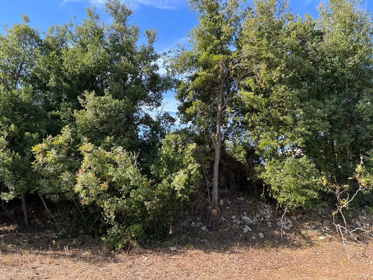 Land for Sale in Ain Zain Chouf — الصورة 3
