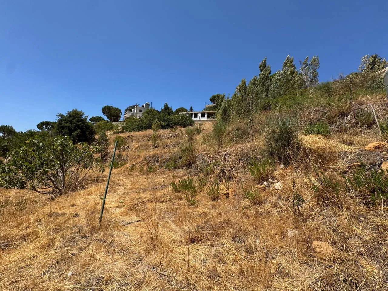 Land for Sale in Maaser Chouf — الصورة 3