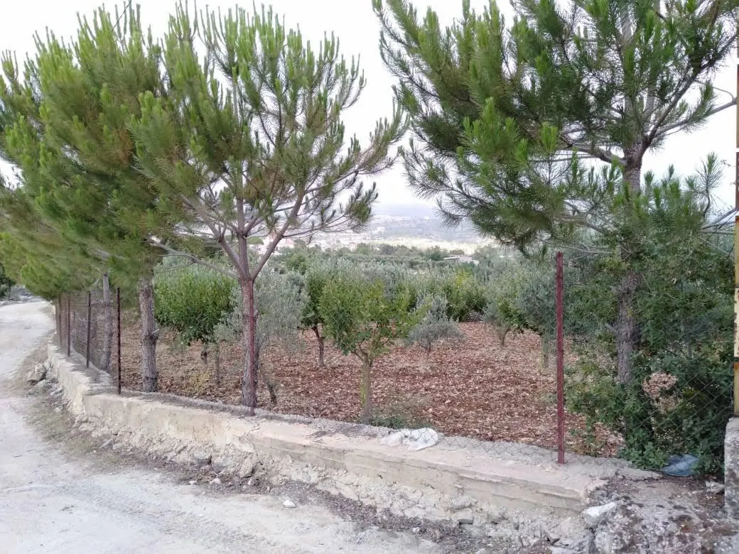 Land for Sale in Baadaran Chouf — الصورة 2