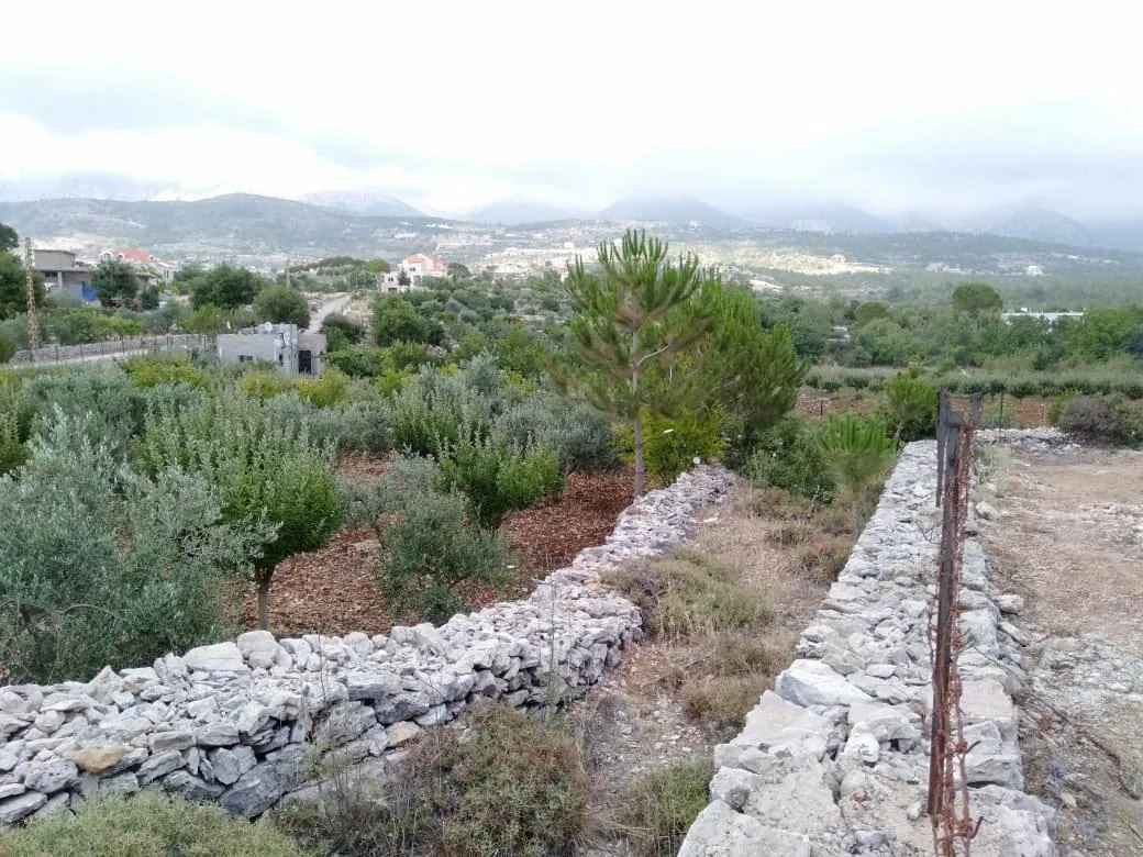 Land for Sale in Baadaran Chouf — الصورة 3