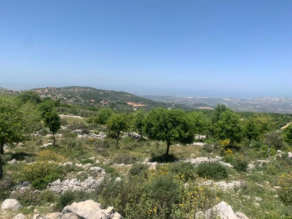 Land for Sale in Asia Batroun