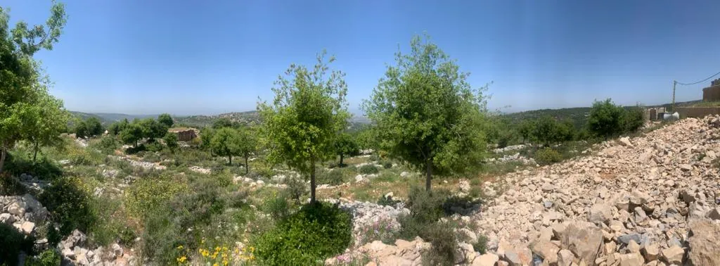 Land for Sale in Asia Batroun