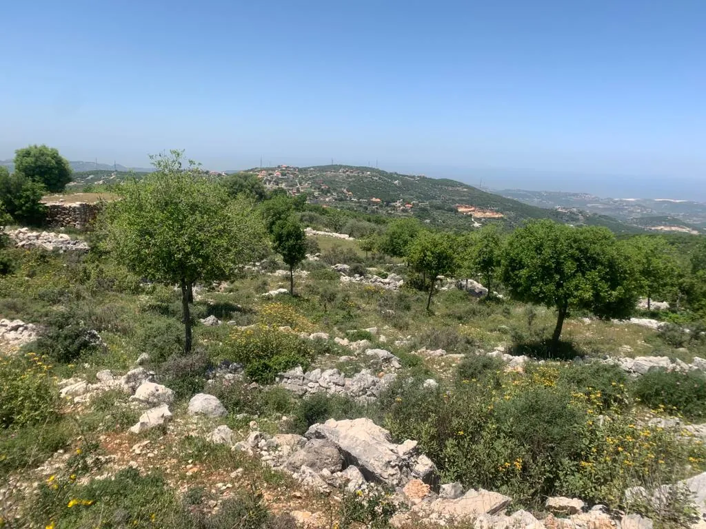 Land for Sale in Asia Batroun — photo 2
