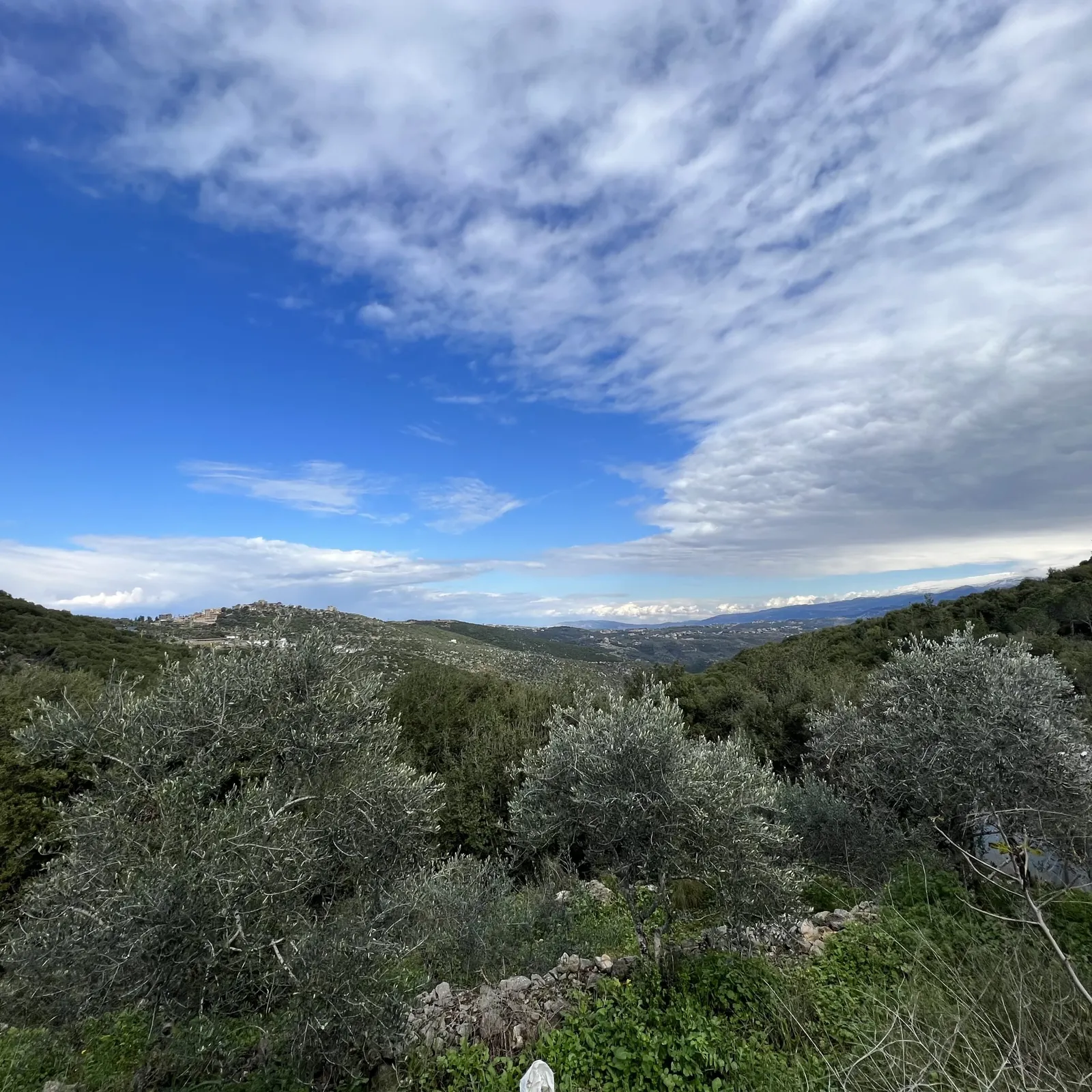 Land for Sale in Batroun Bejdarfel