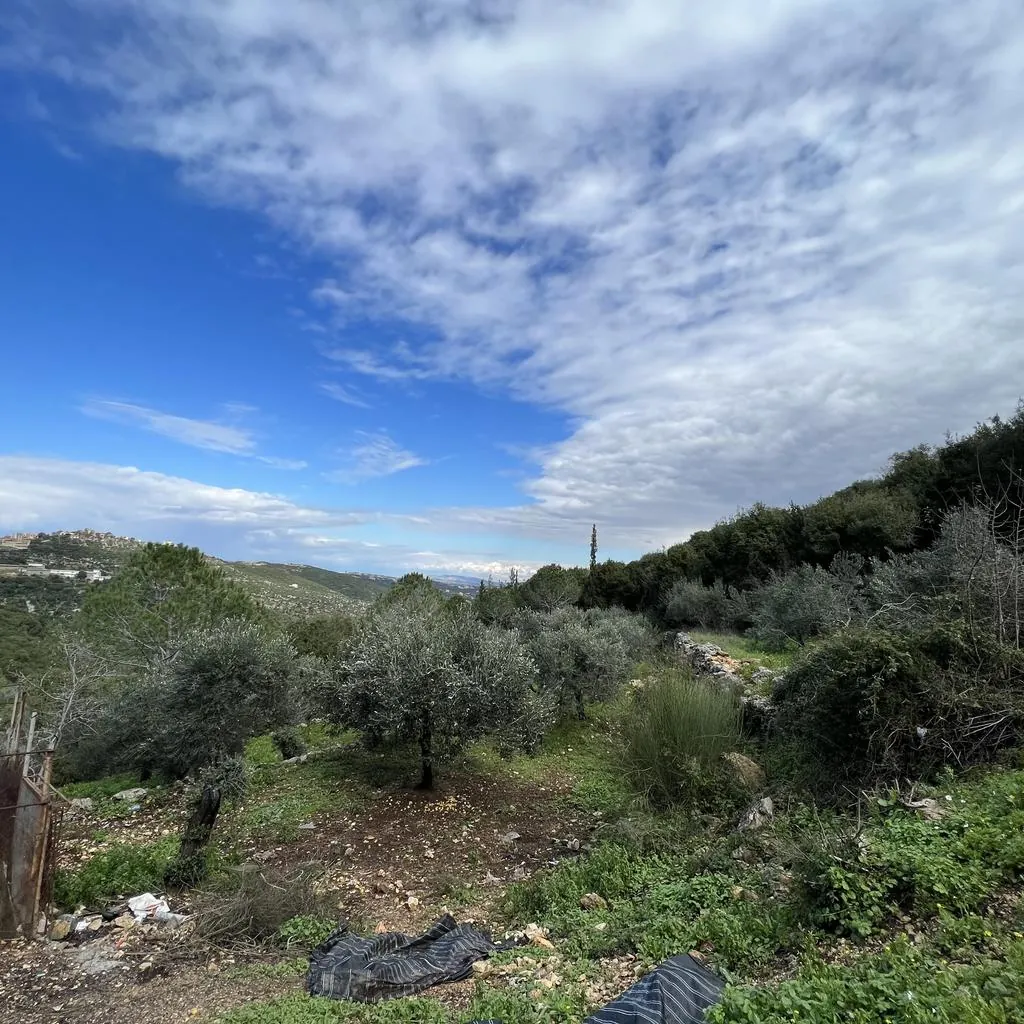 Land for Sale in Batroun Bejdarfel — photo 3