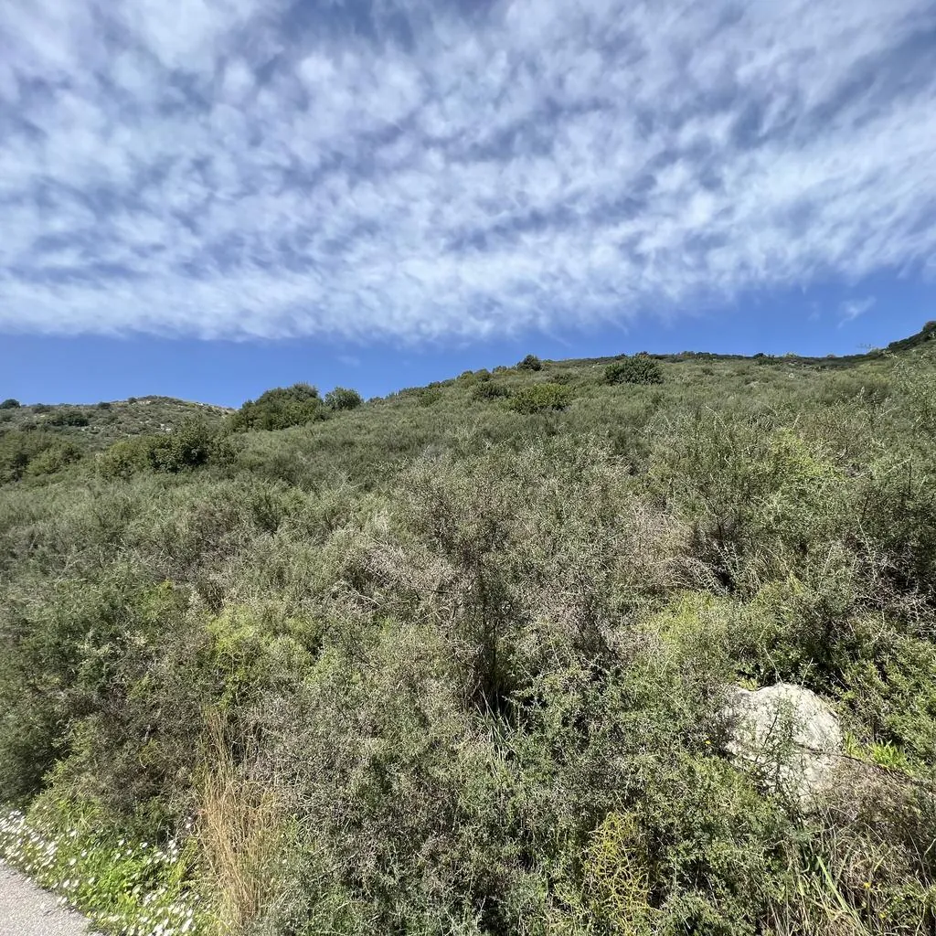 Land for Sale in Batroun Kfarhay — photo 2
