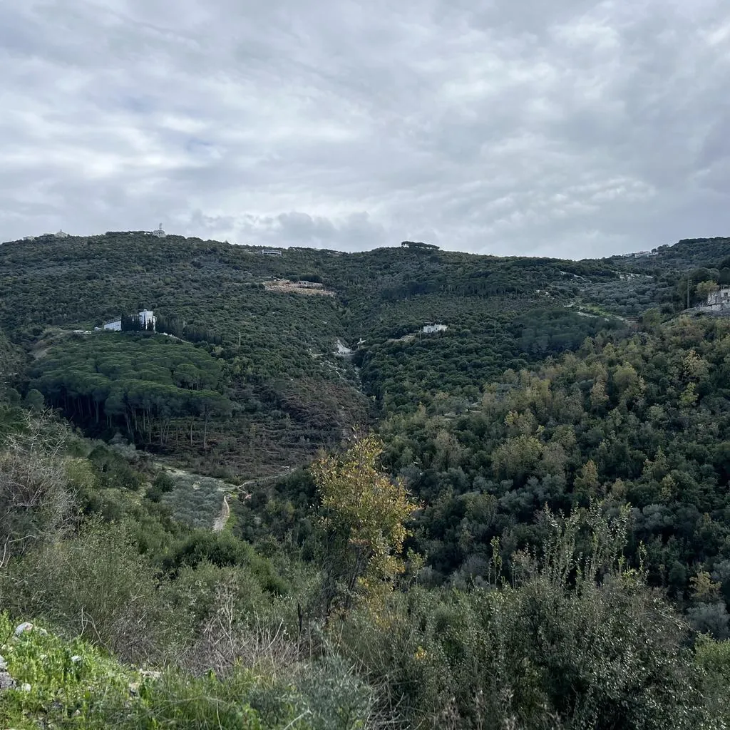 Land for Sale in Batroun Sourat