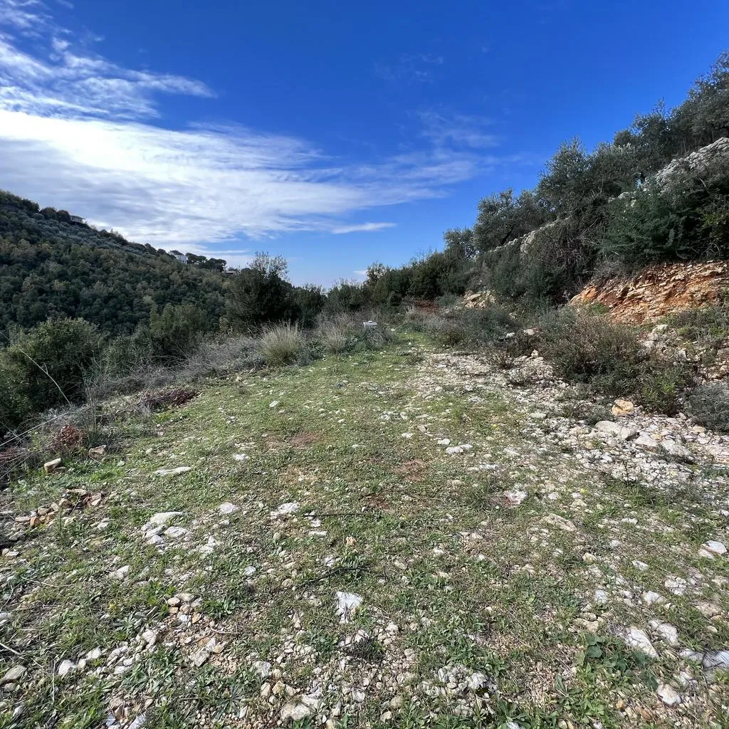 Land for Sale in Batroun Sourat — photo 2