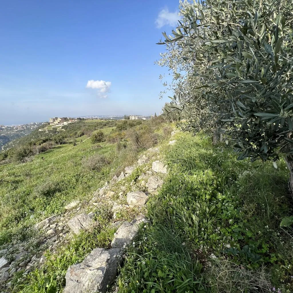 Land for Sale in Rachkida Batroun — photo 4
