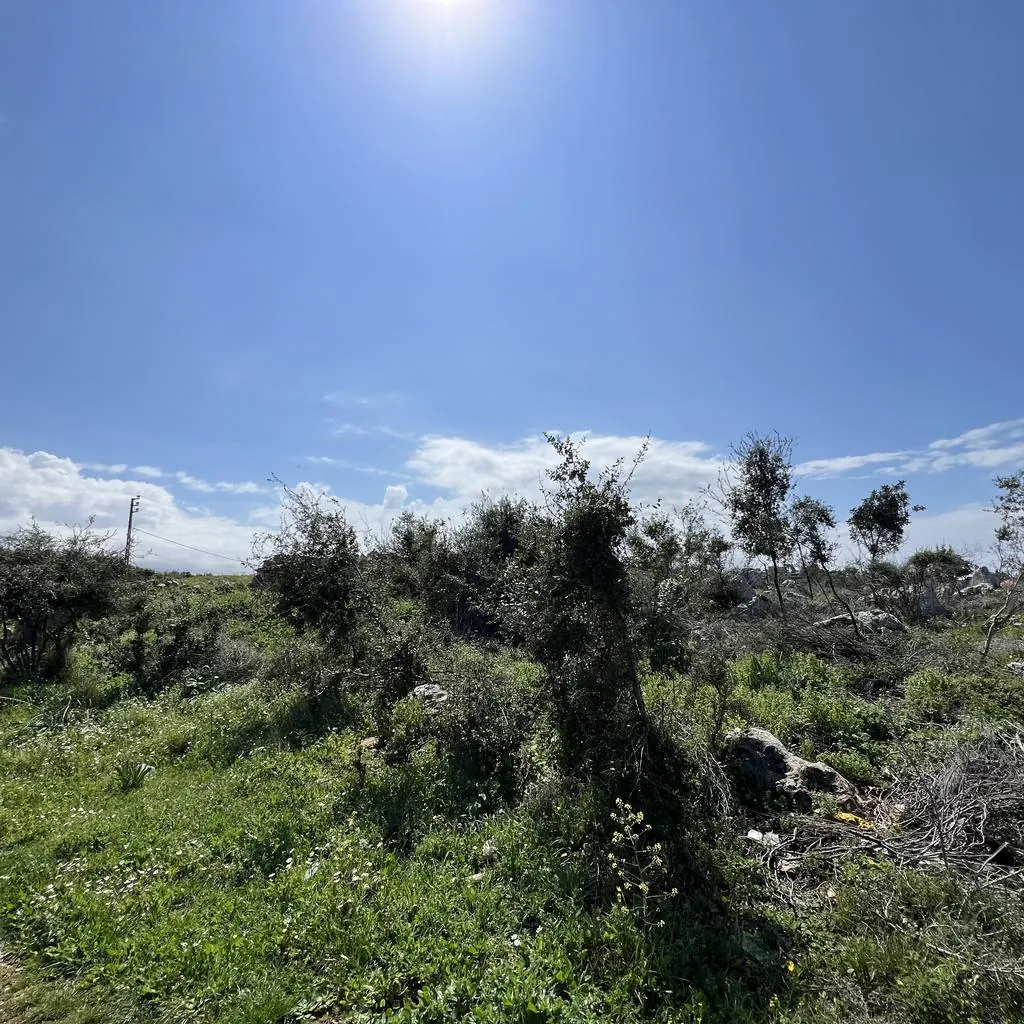 Land for Sale in Rachkida Batroun — photo 2
