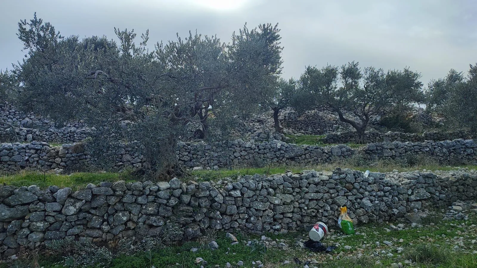 Land for Sale in Batroun Chabtine