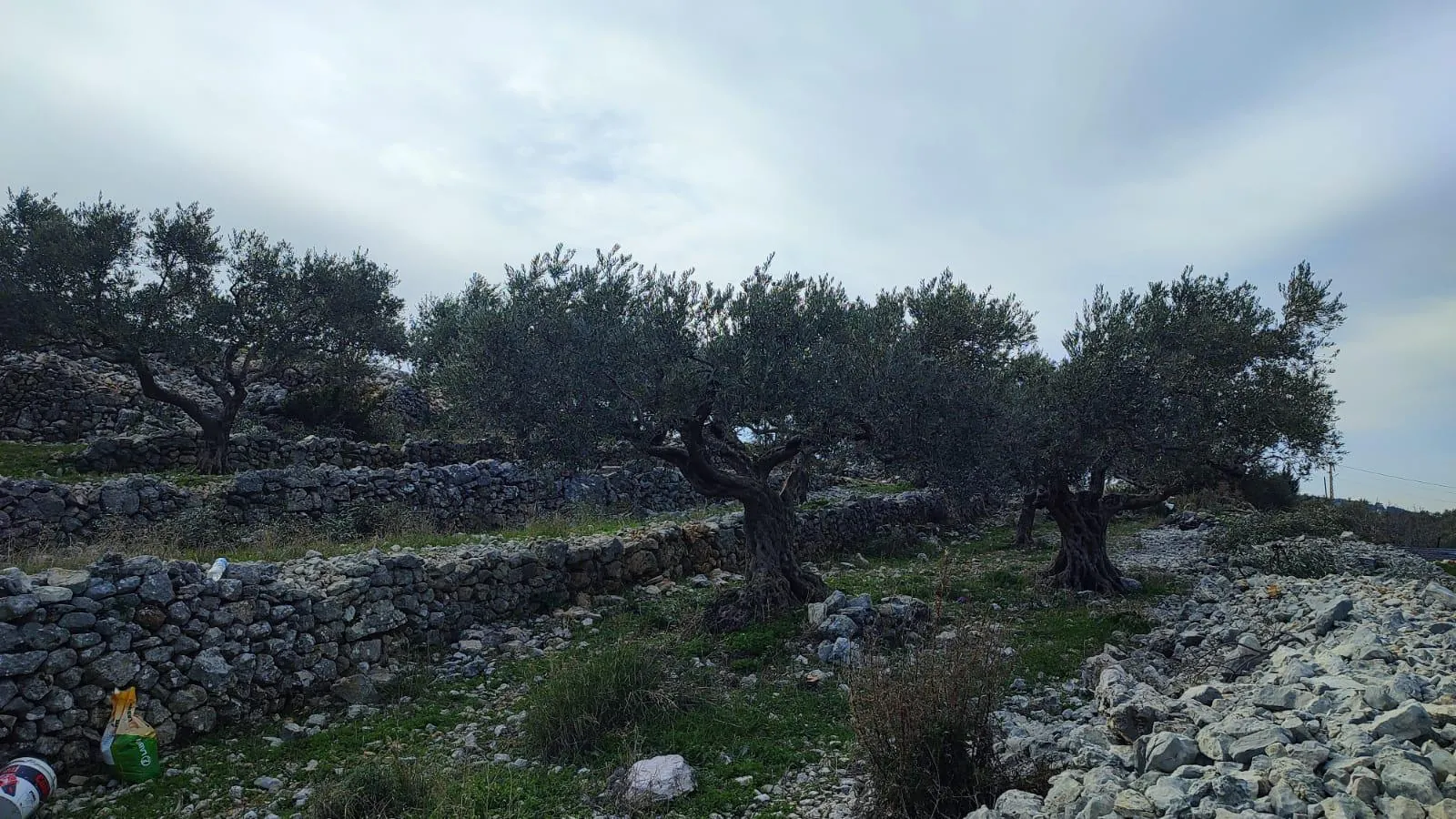Land for Sale in Batroun Chabtine — photo 4