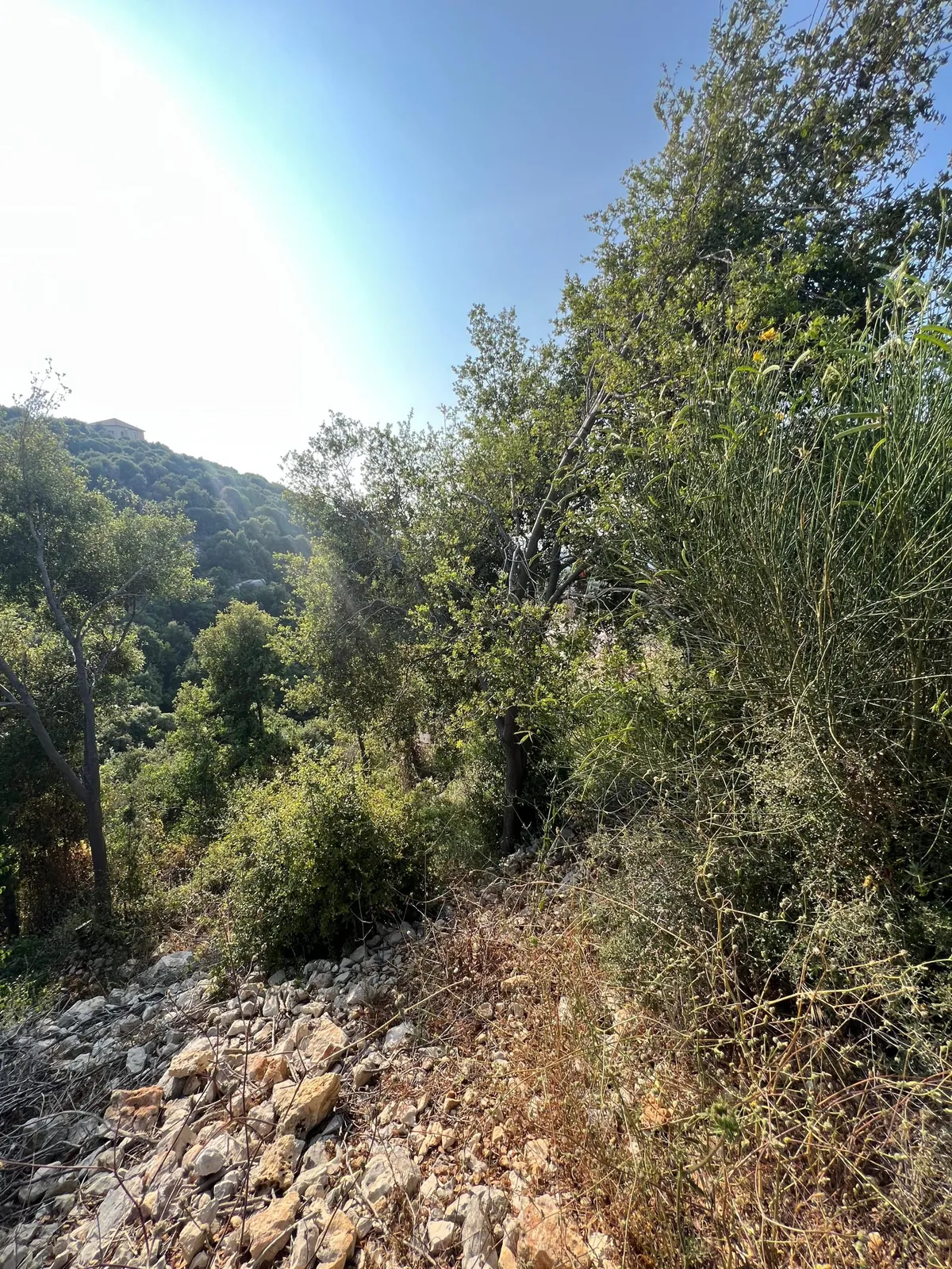 Land for Sale in Ebrine Batroun — photo 2