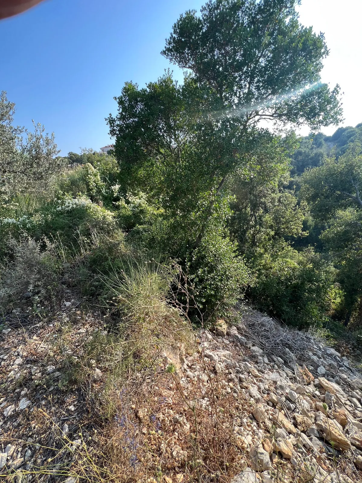 Land for Sale in Ebrine Batroun — photo 3