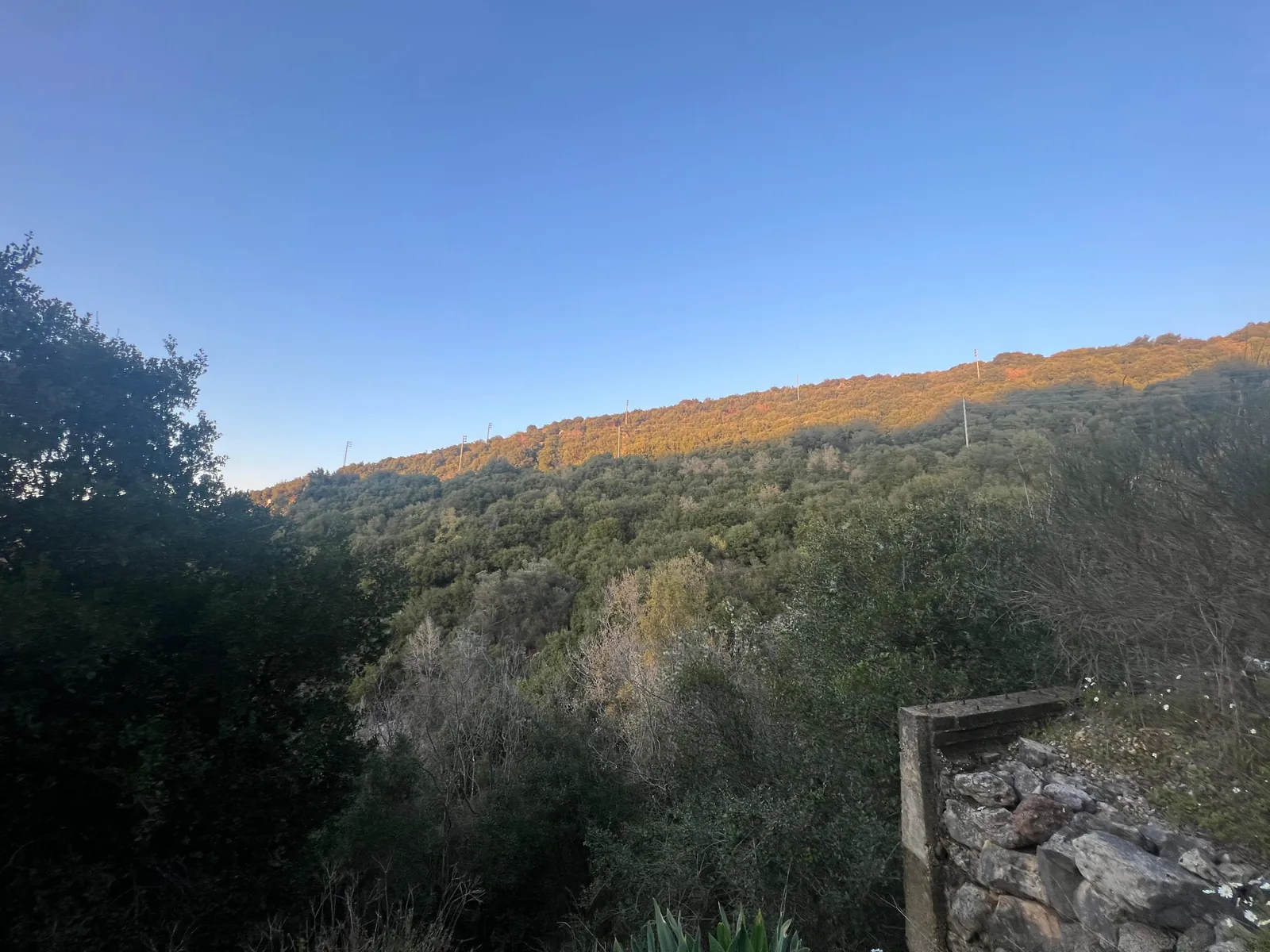Land for Sale in Batroun Sourat — photo 2