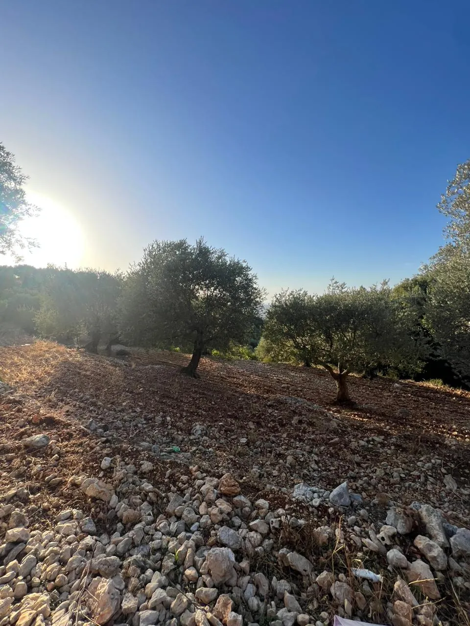 Land for Sale in Batroun Helta — photo 2