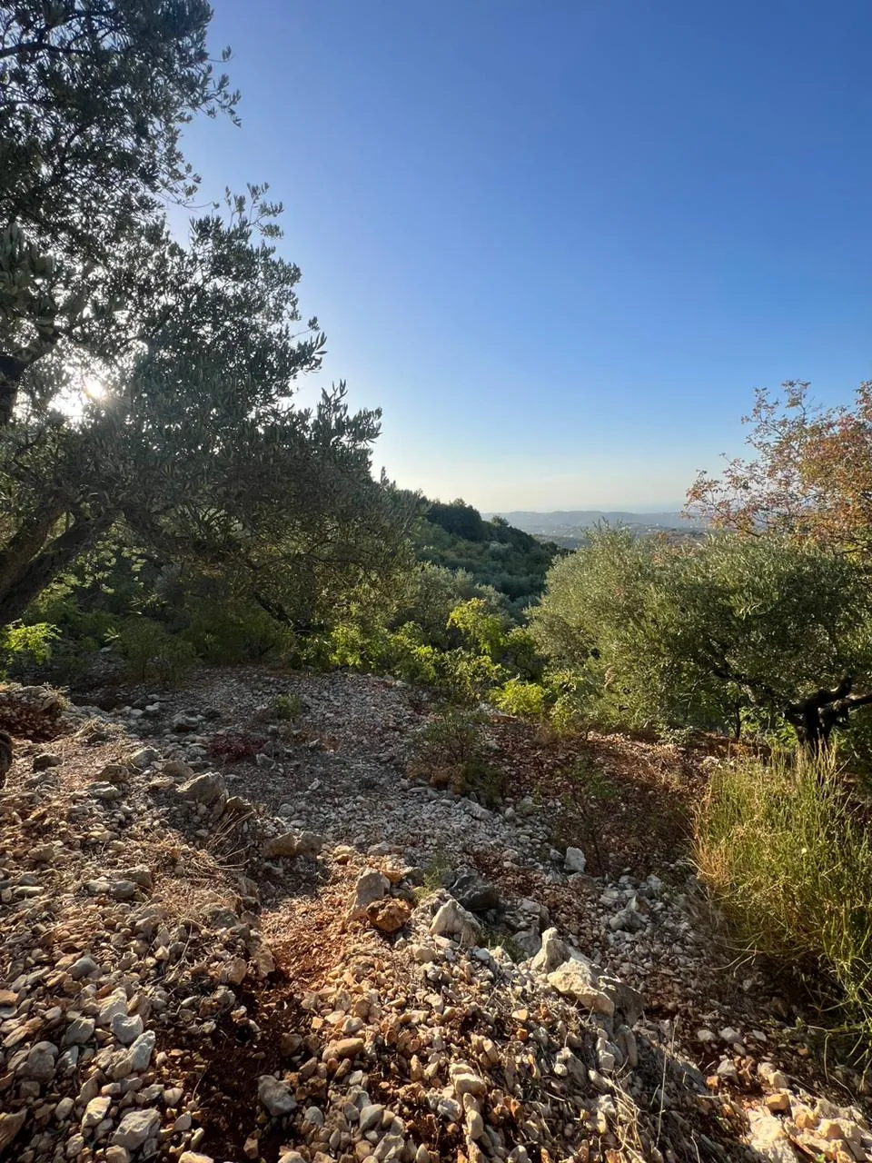 Land for Sale in Batroun Helta — photo 3