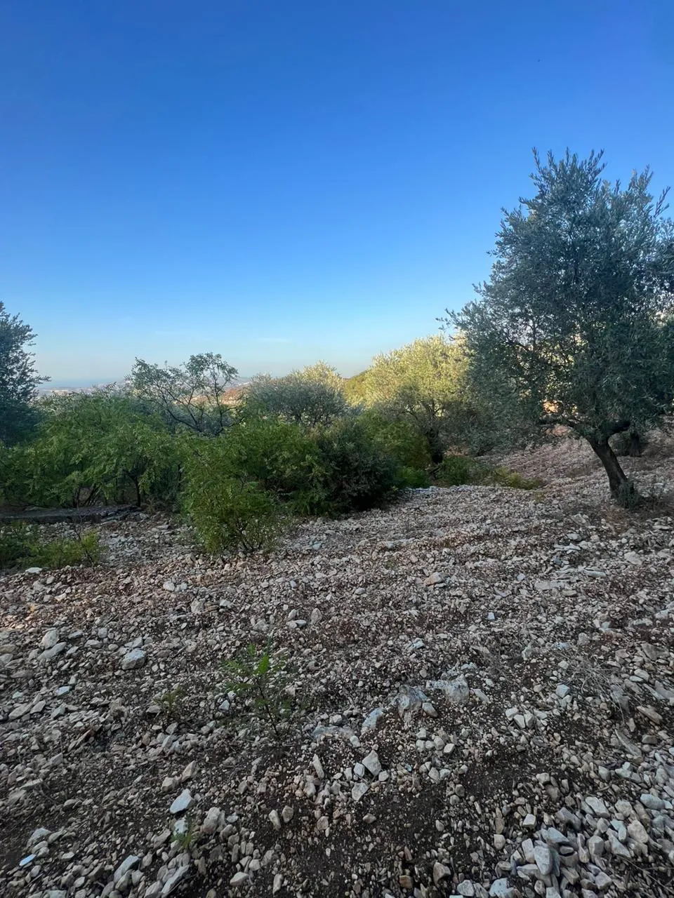 Land for Sale in Batroun Helta — photo 5