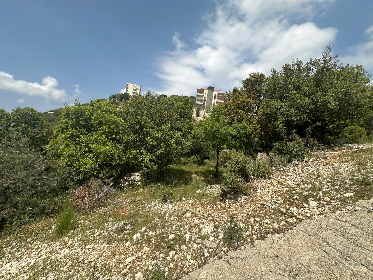 Land for Sale in Breij Jbeil — photo 2