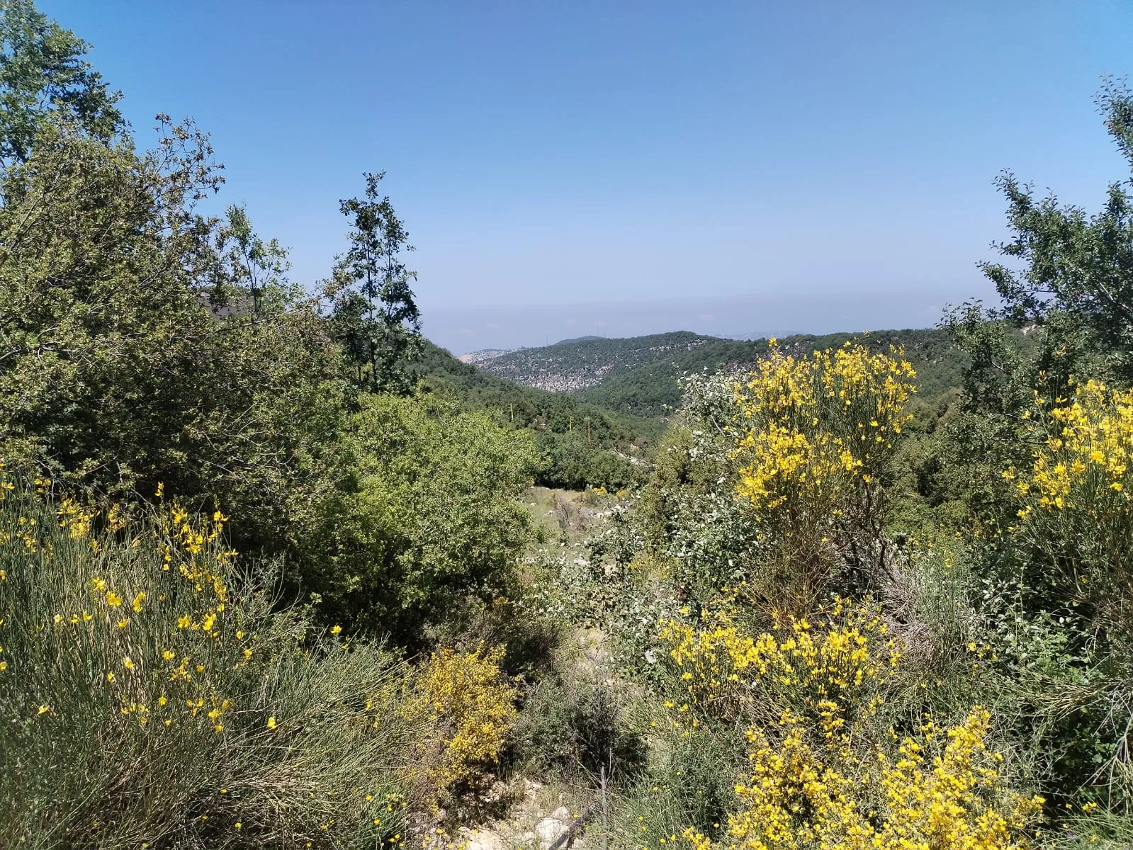 Land for Sale in Mechmech Jbeil — الصورة 2