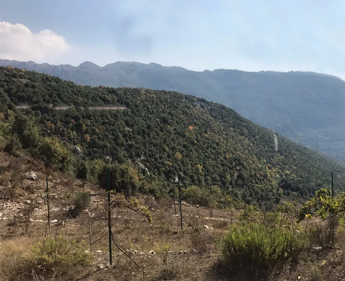Land for Sale in Ghineh Keserouan — photo 2