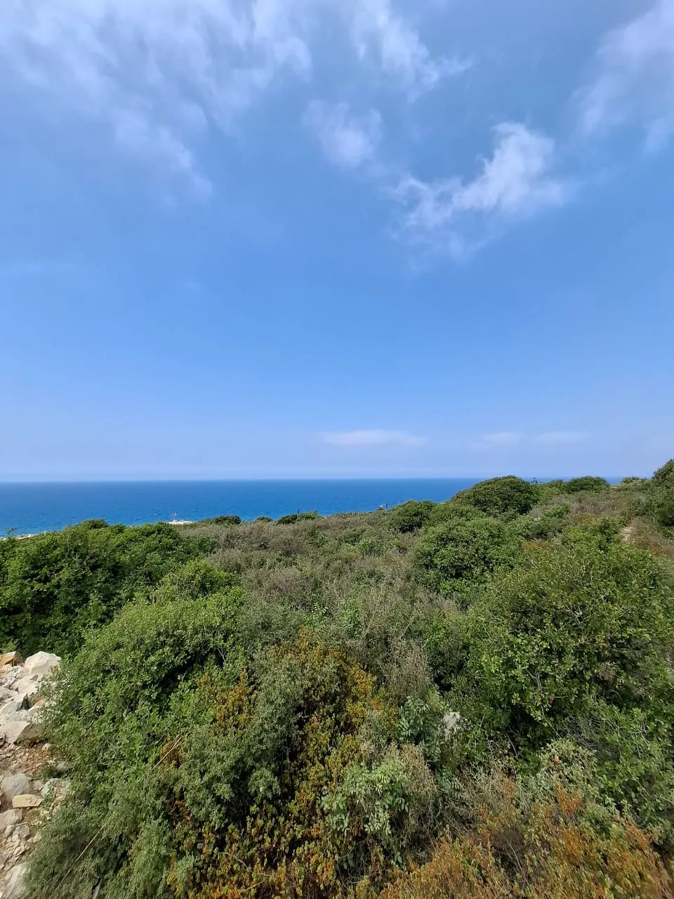 Land for Sale in Barbara Jbeil — photo 2