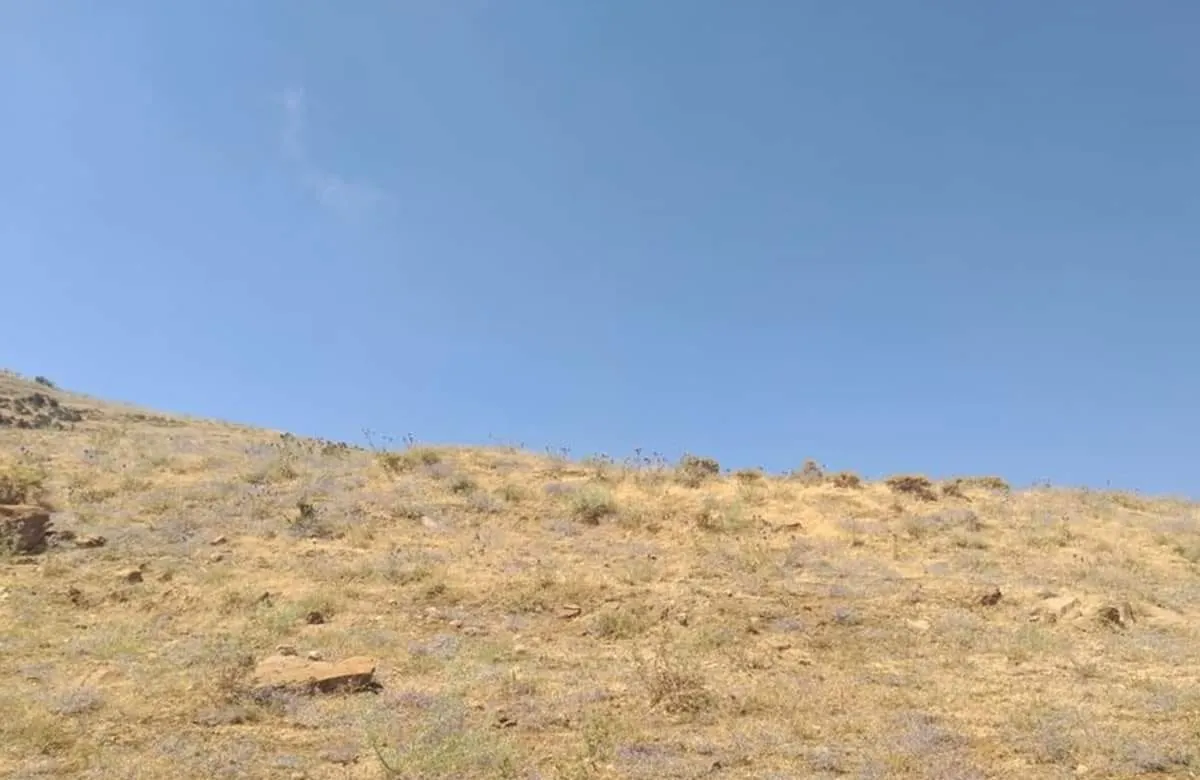 Land for Sale in Ain Dara Aley — photo 2