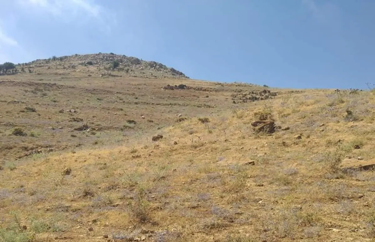 Land for Sale in Ain Dara Aley — photo 4