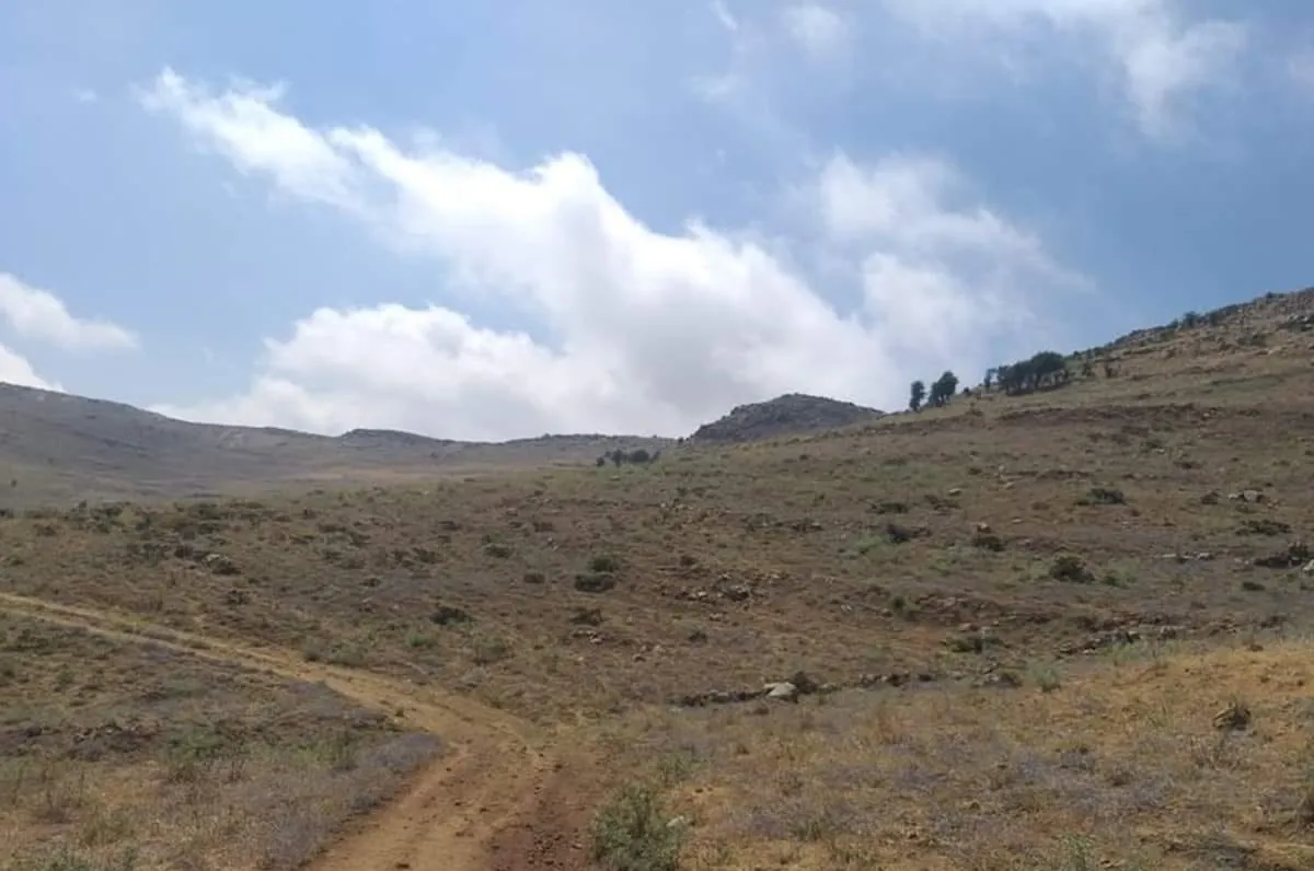 Land for Sale in Ain Dara Aley — photo 5