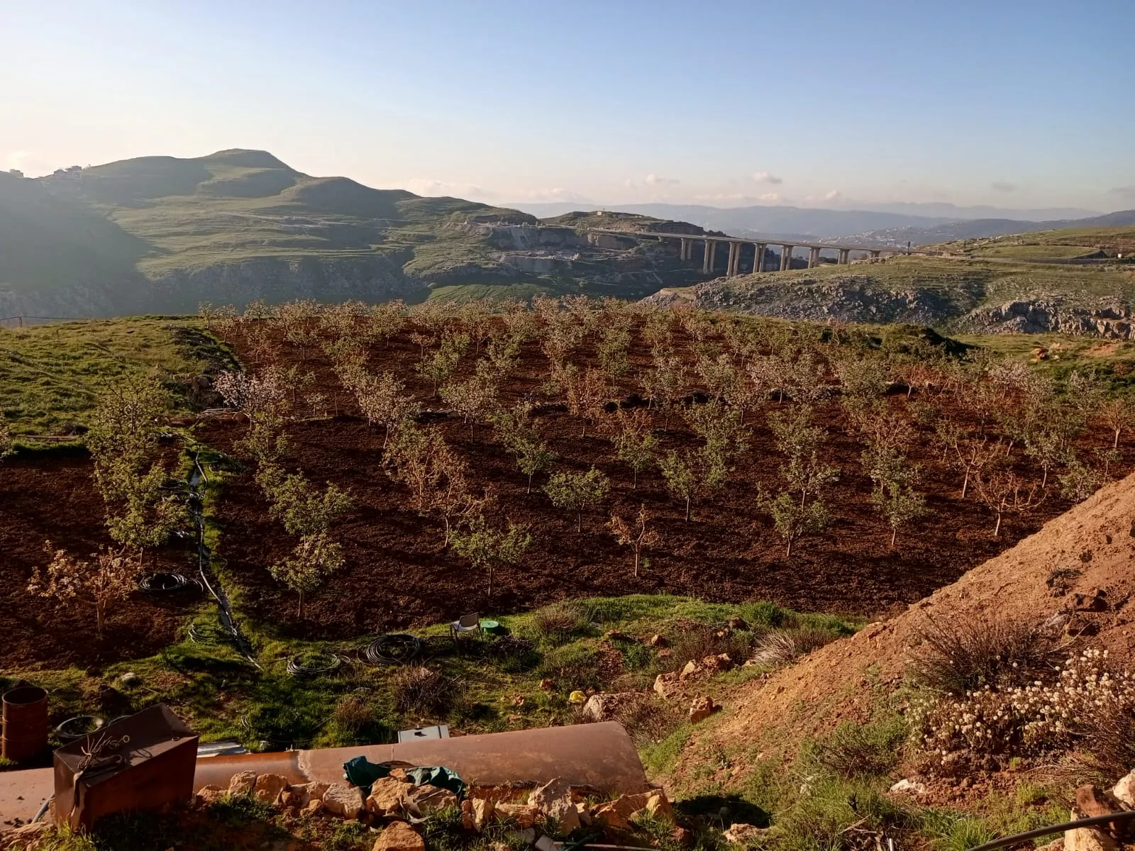 Land for Sale in Ain Dara — photo 2
