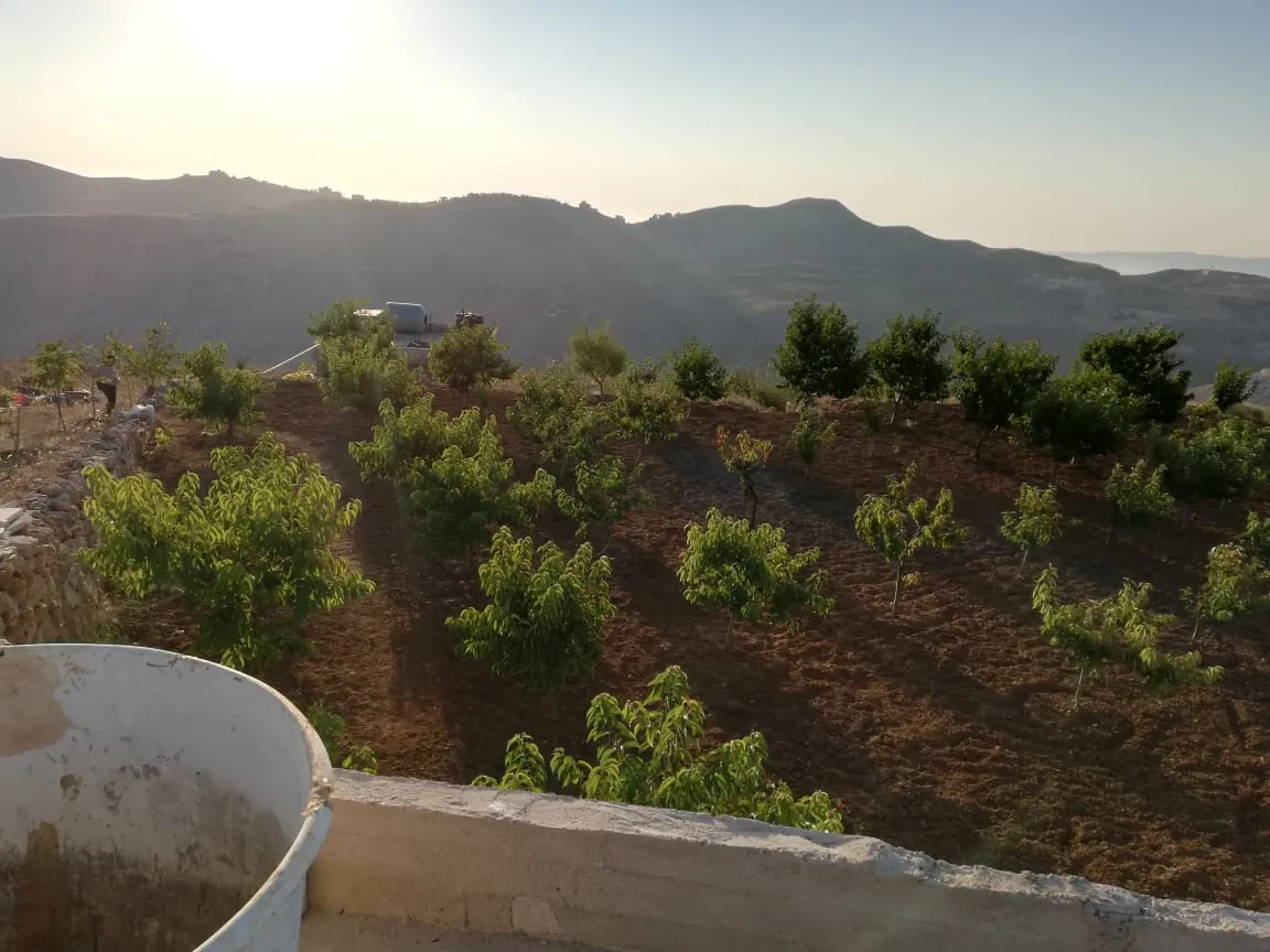Land for Sale in Ain Dara — photo 3