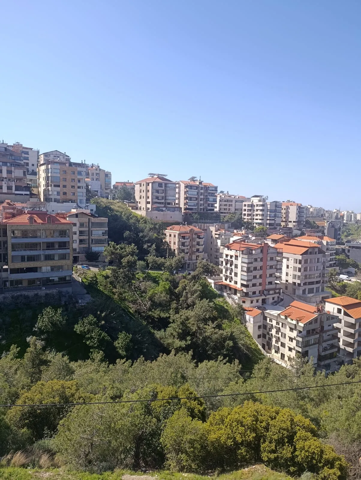 For Sale: Apartment in Roumieh