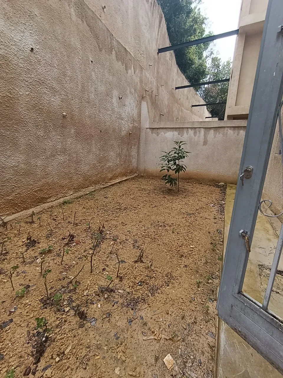 For Sale: Apartment in Nabay — photo 2