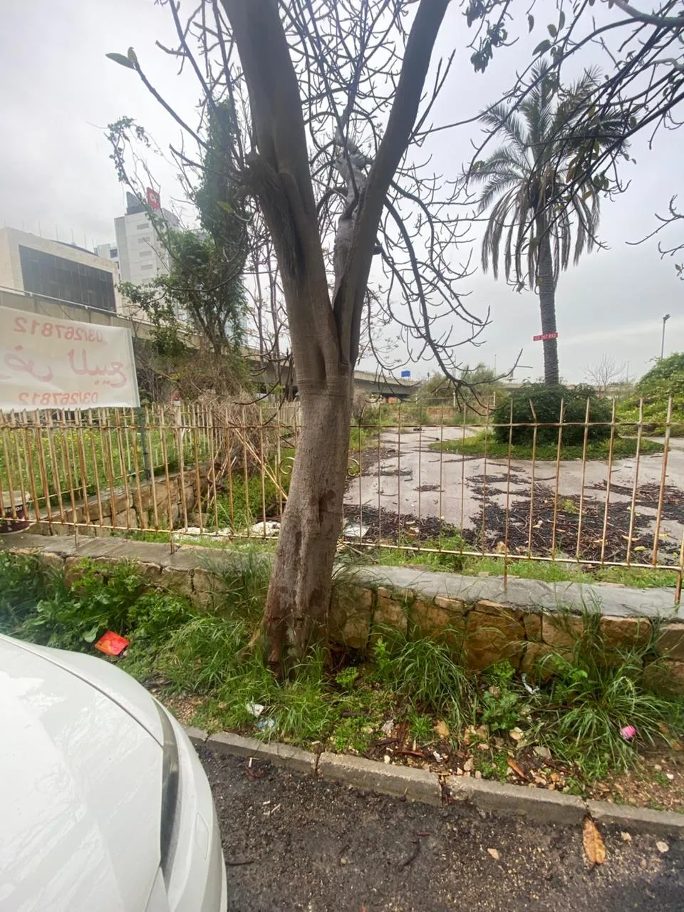 For Sale: Land in Naccache