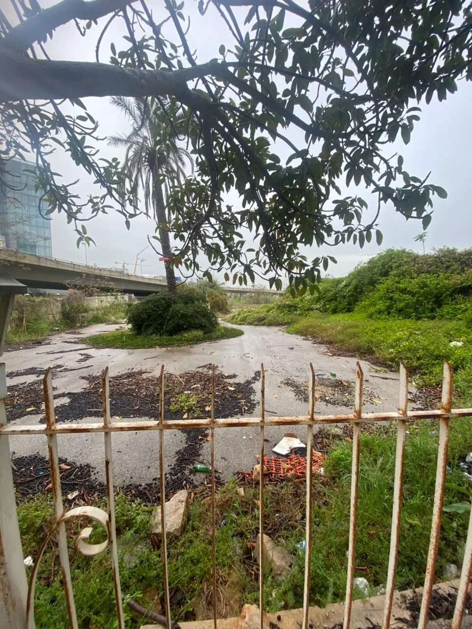 For Sale: Land in Naccache — photo 2