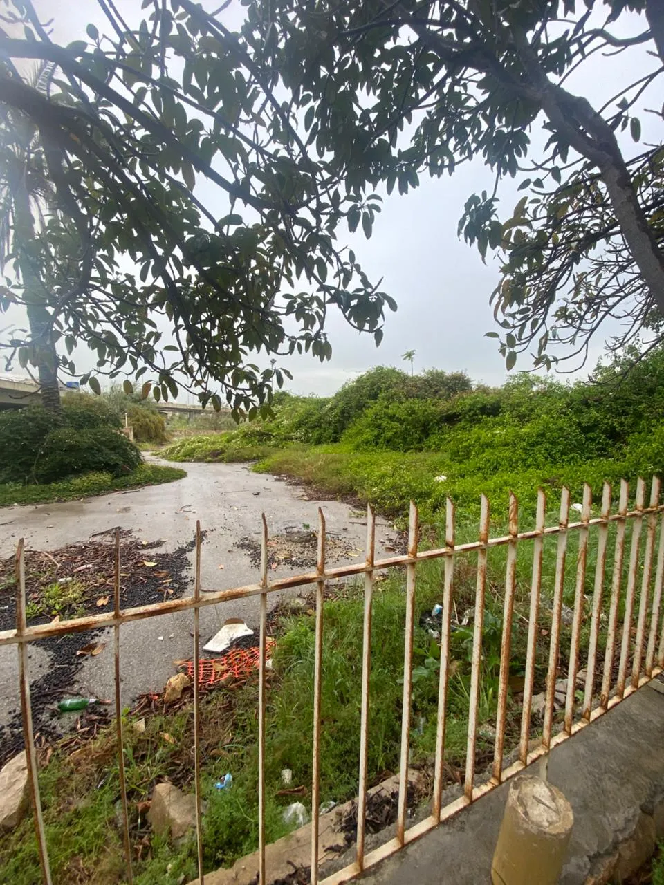 For Sale: Land in Naccache — photo 3