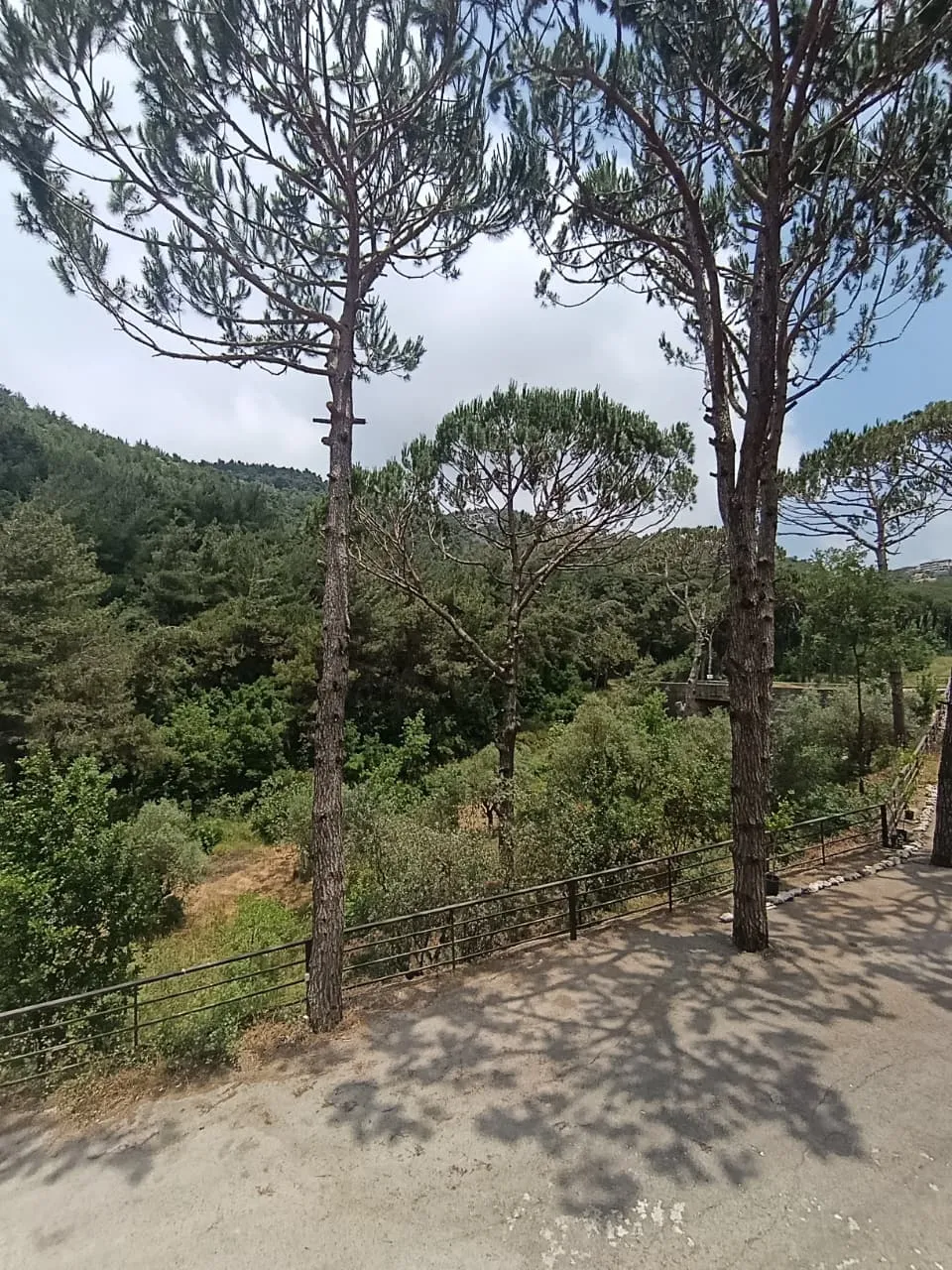 For Sale: Apartment in Mar Chaaya