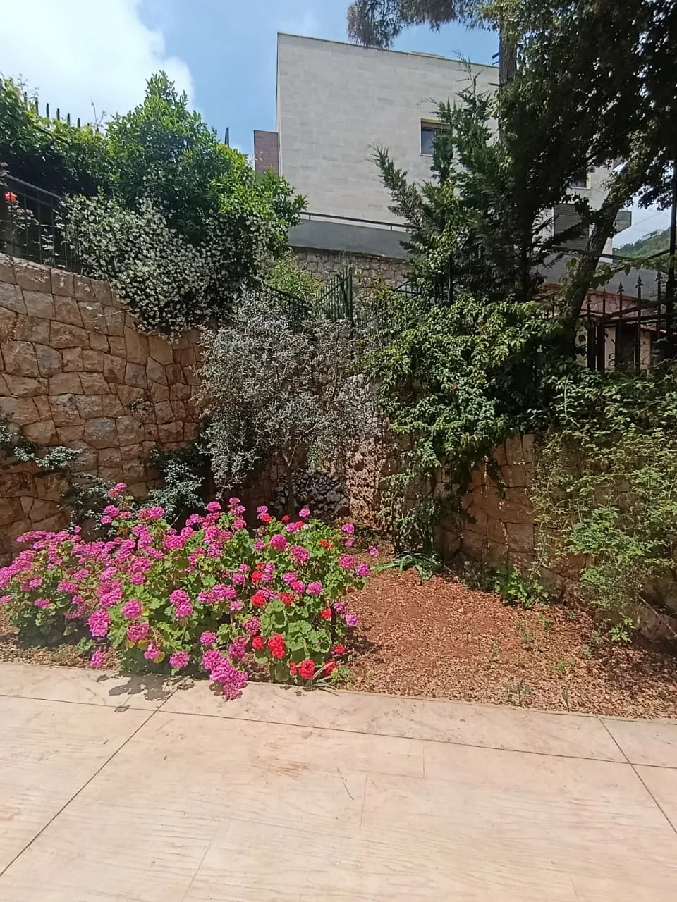 For Sale: Apartment in Mar Chaaya — photo 5