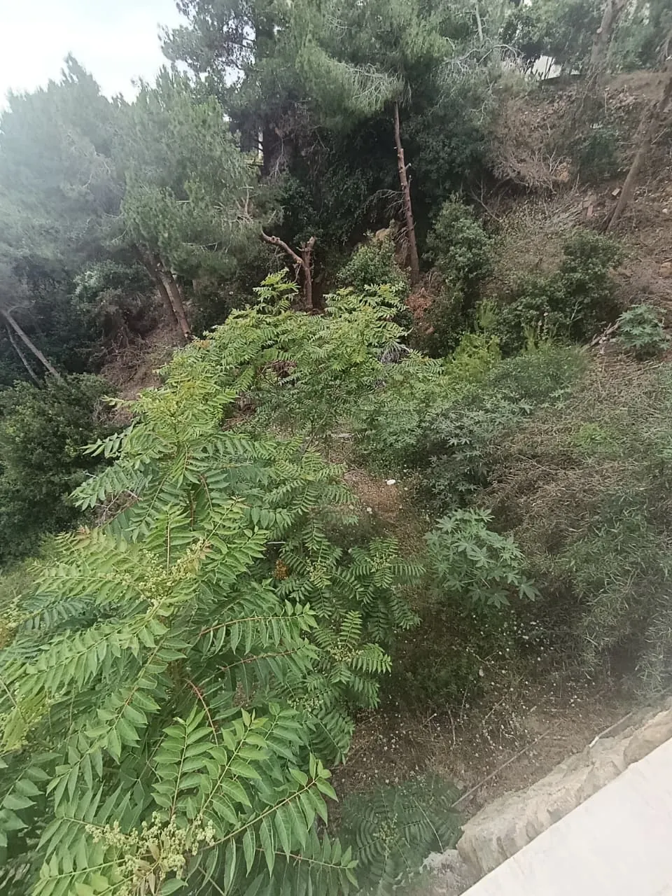 For Sale: Duplex in Ain Saade — photo 3