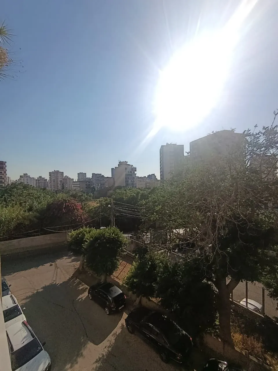 For Sale: Apartment in Zalka