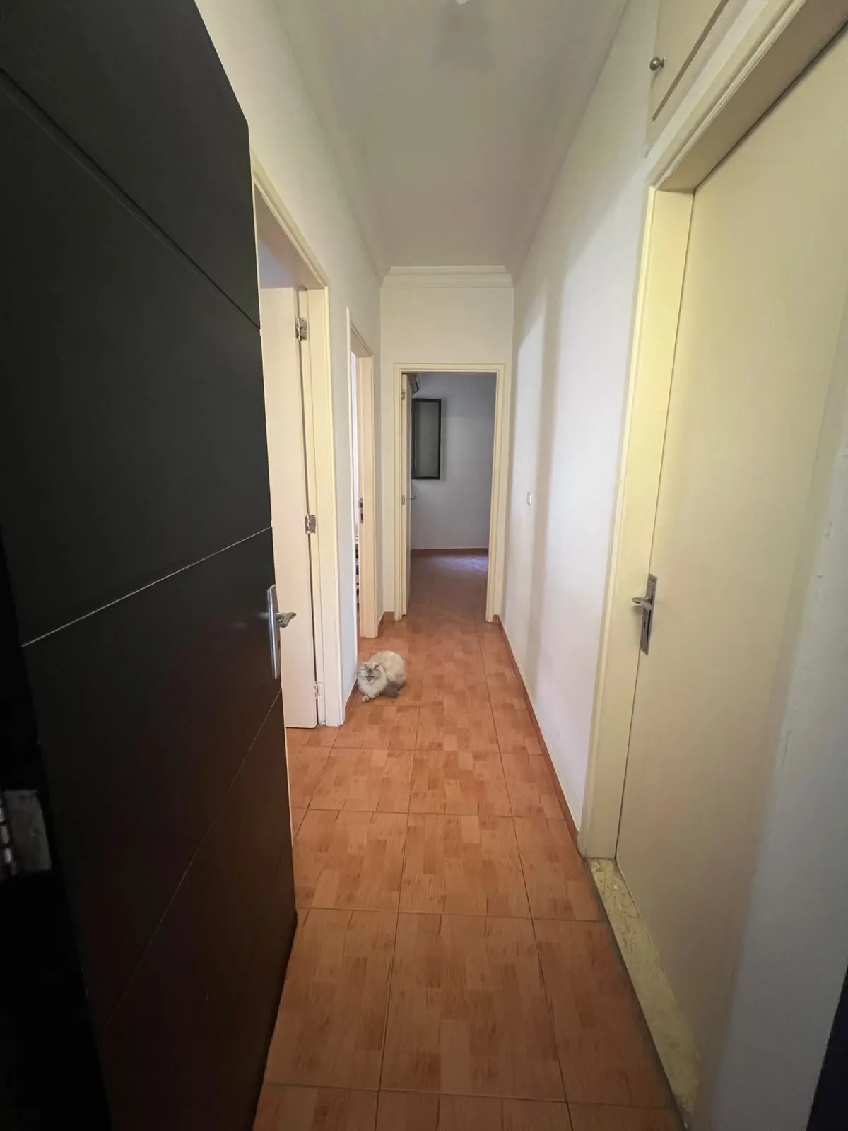 For Sale: Apartment in Mansourieh — photo 2