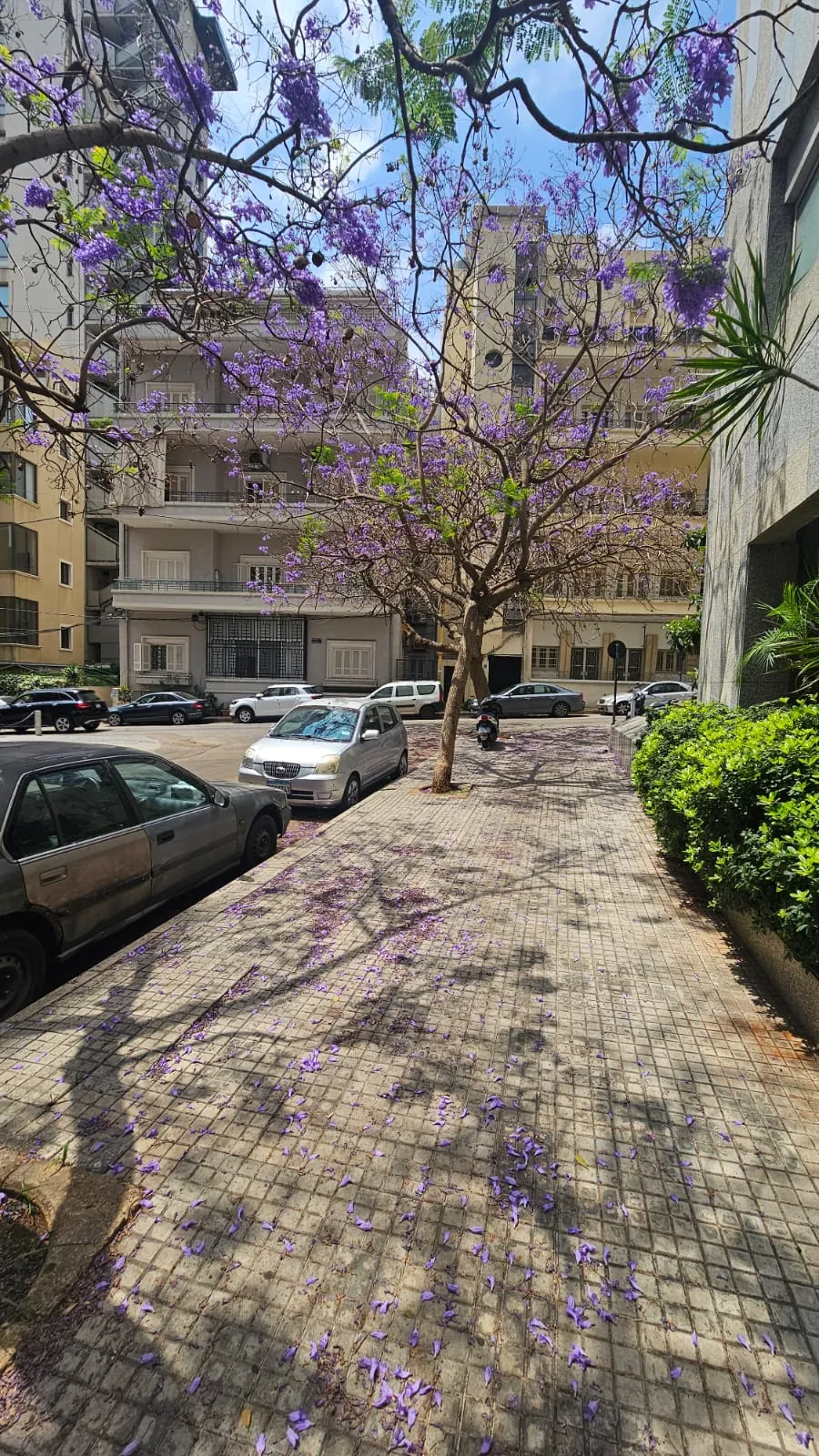 For Sale: Land in Badaro — photo 3